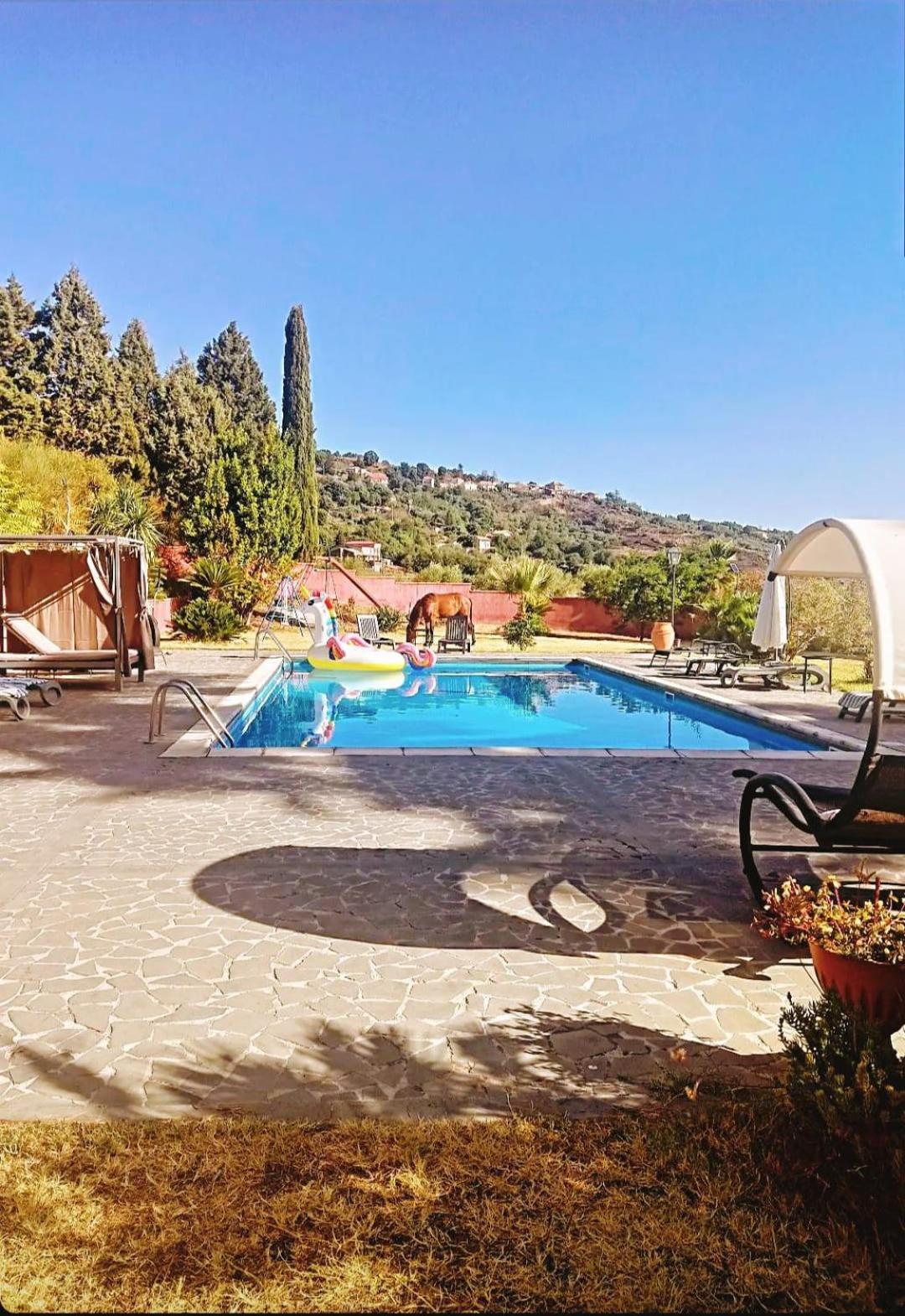 Villa Alessio - Case Vacanza Con Piscina Sull'Etna Puntalazzo Bagian luar foto